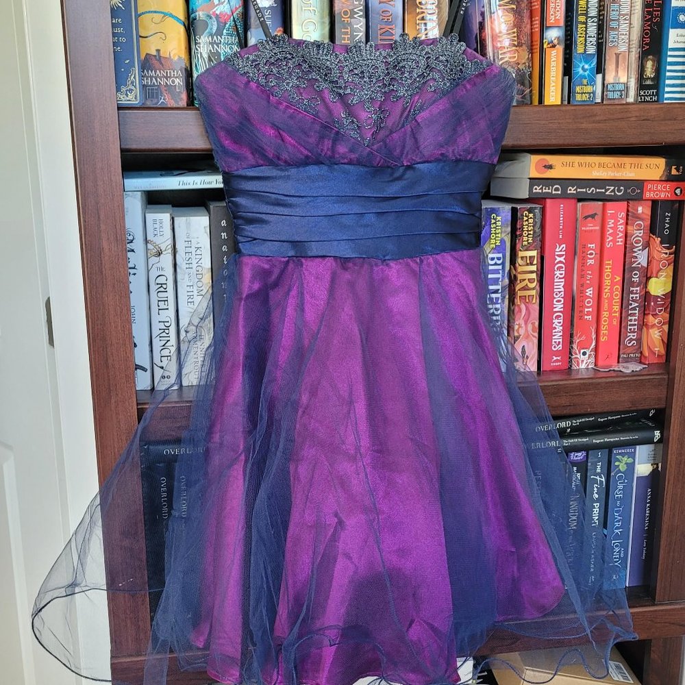 Brand: Masquerade Hot Pink with Navy Blue Overlay Tulle